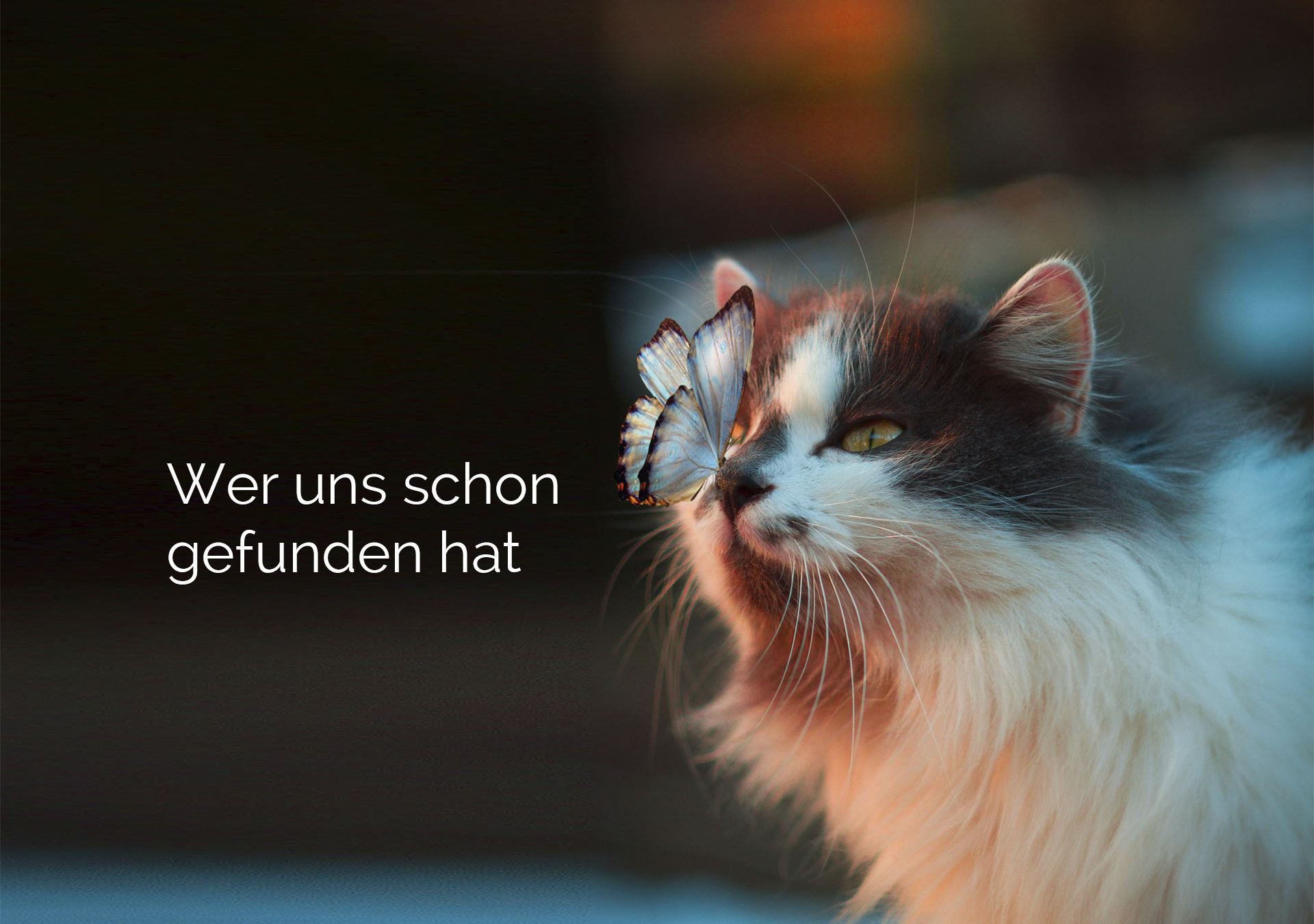 header feindel werbung referenzen